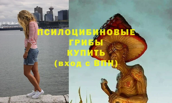 бошки Алексеевка
